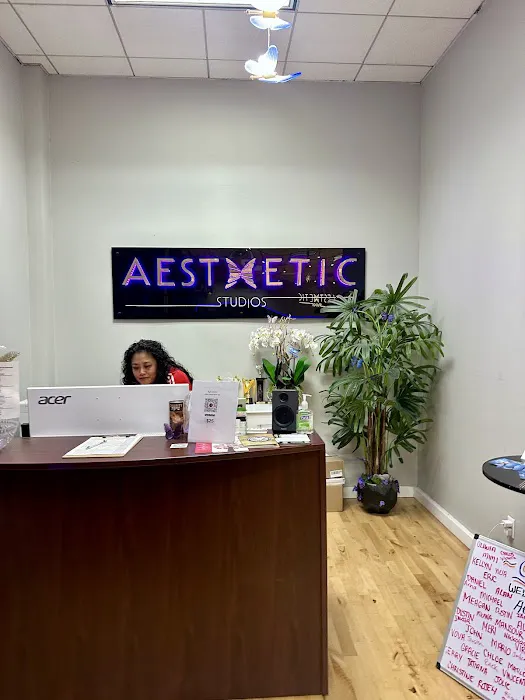 Aesthetic Dance Studios Picture 3