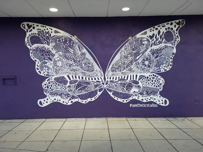 Aesthetic Dance Studios Picture 6