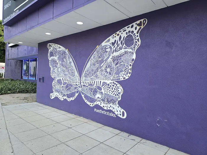 Aesthetic Dance Studios Picture 8