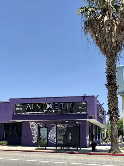 Aesthetic Dance Studios Picture 5