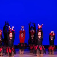 Ararat Dance Studio ico
