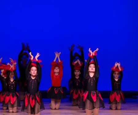 Ararat Dance Studio