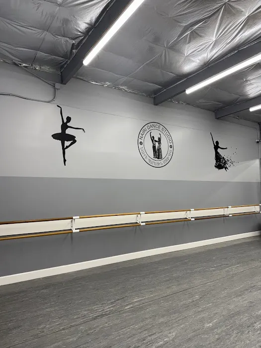 Nairi Dance Studio Picture 1