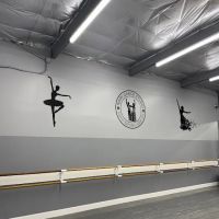 Nairi Dance Studio ico