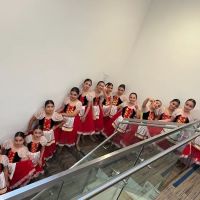 Lili Dance Studio ico