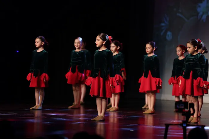Lili Dance Studio Picture 4
