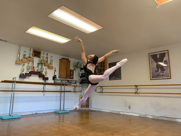 Academy of Russian Classical Picture 2