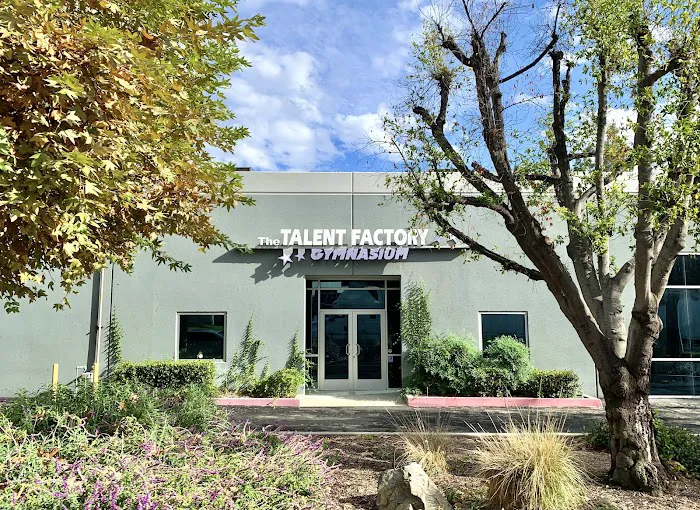 Talent Factory Picture 2