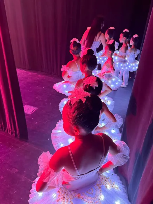 Hongyun Dance Studio Picture 7