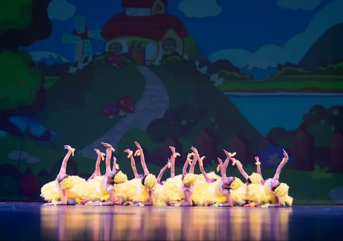 Hongyun Dance Studio Picture 3