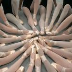 Inland Pacific Ballet