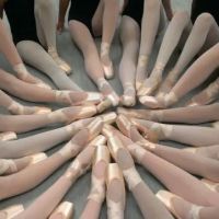 Inland Pacific Ballet ico