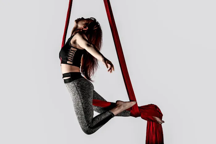 Black Velvet Pole Fitness Picture 2