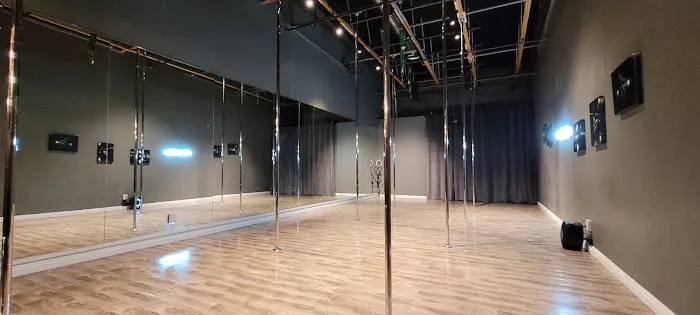 Black Velvet Pole Fitness Picture 5