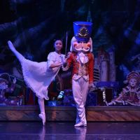 Southland Ballet Academy/ Festival Ballet Theatre ico