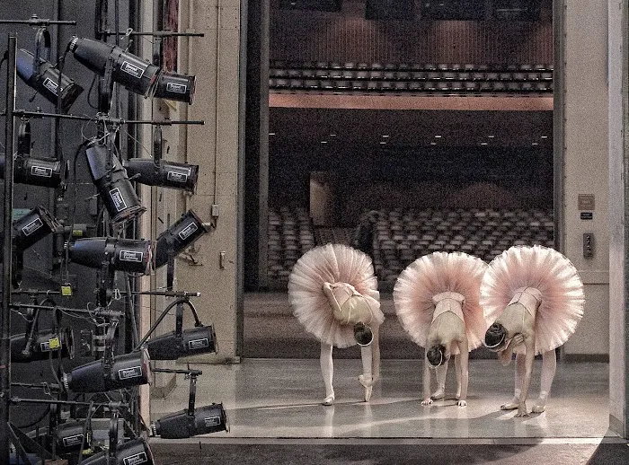 Southland Ballet Academy/ Festival Ballet Theatre Picture 10