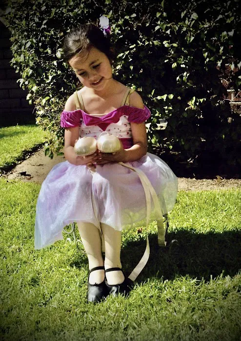 Showtime Dance Academy Picture 2