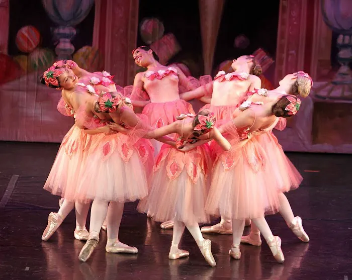 Academy of Dance Picture 2