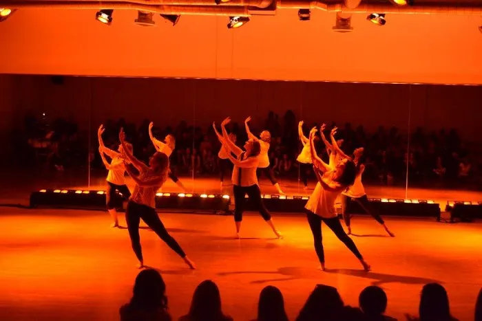 The Performing Arts Center Picture 2