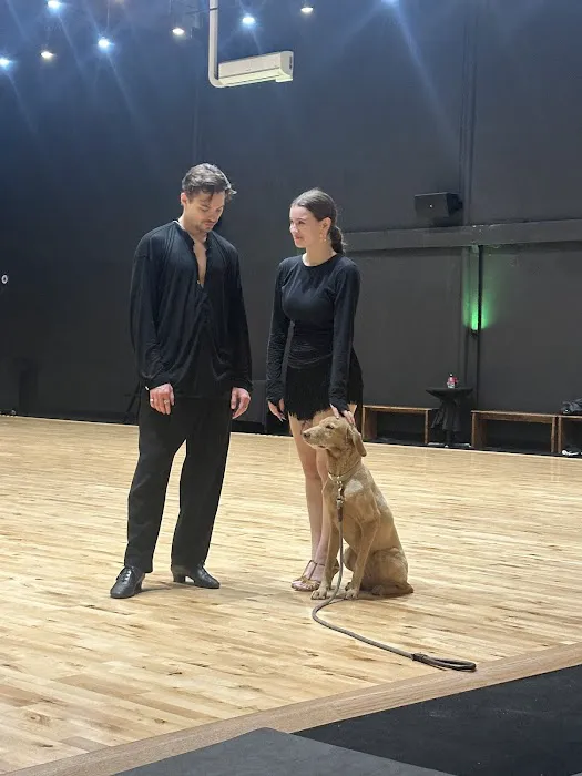 Brooklyn Dancesport Club LA Edition Picture 3