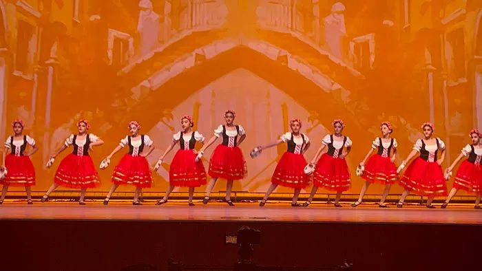 IrenDance Studio Picture 10