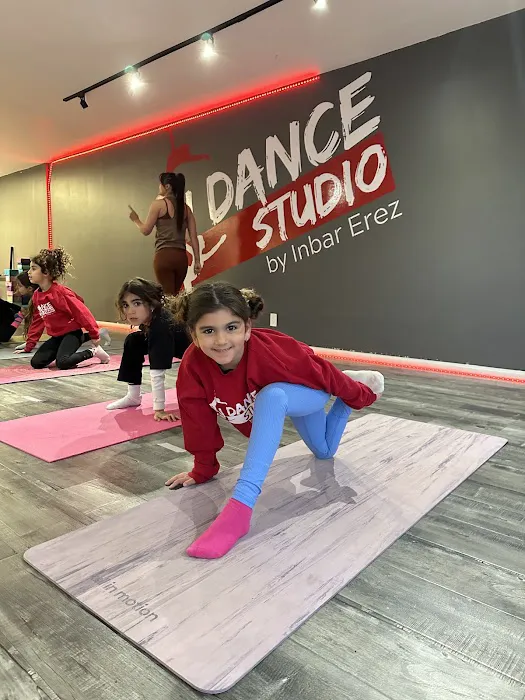 IDance studio Picture 2