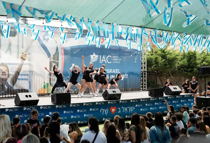 IDance studio Picture 3