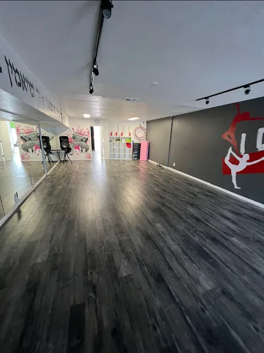 IDance studio Picture 9