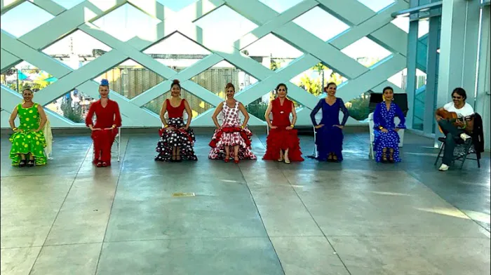 Naranjita Flamenco Picture 5