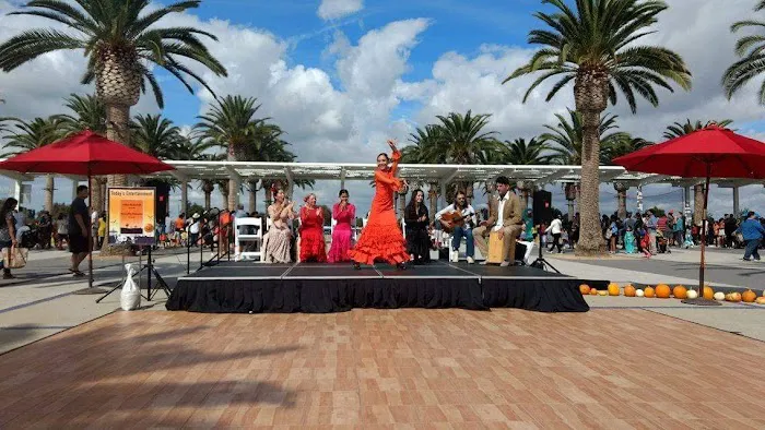 Naranjita Flamenco Picture 2