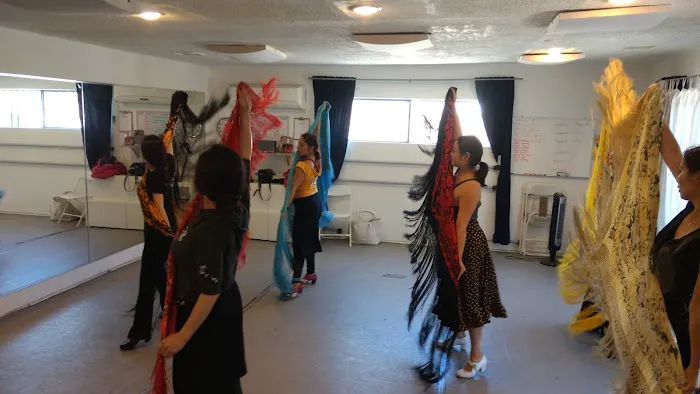 Naranjita Flamenco Picture 6