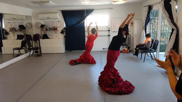 Naranjita Flamenco Picture 10