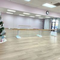 Mimi's Dance Studio ico