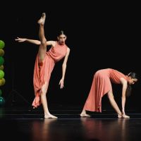 The Dance Shop ico