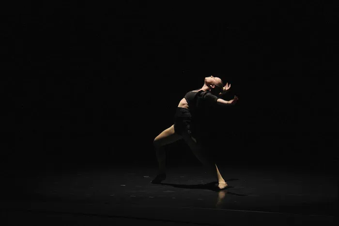 Endeavor School of the Arts Picture 6
