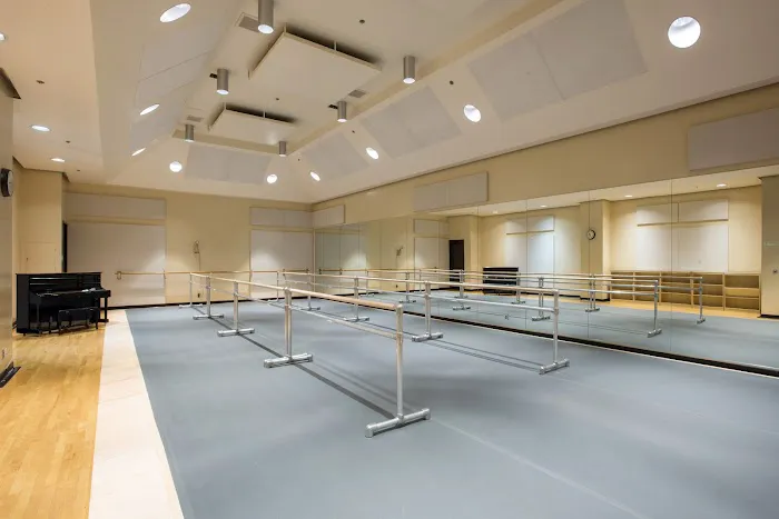 American Ballet Theatre William J. Gillespie School Picture 2