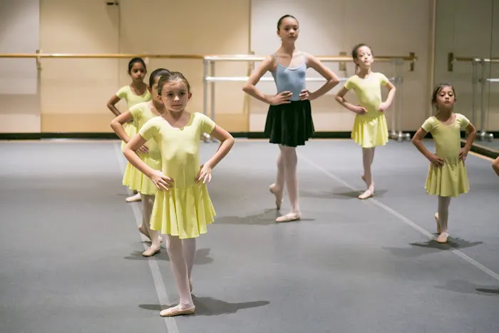 American Ballet Theatre William J. Gillespie School Picture 6