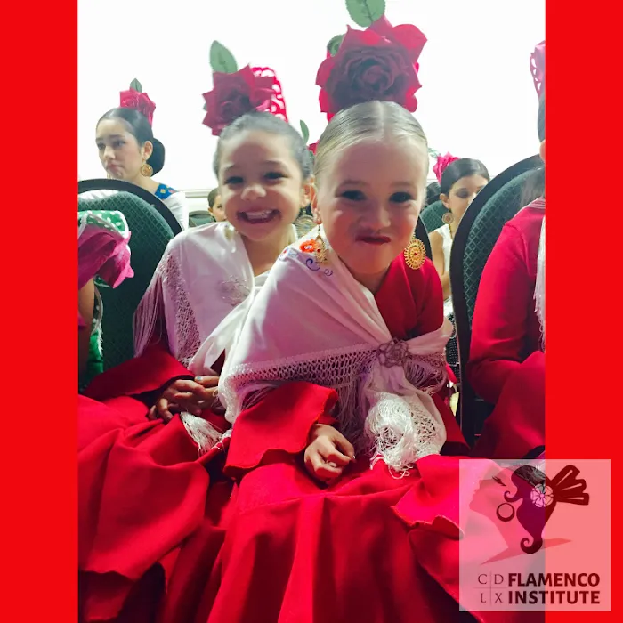 The Marybelle Musco Dance Center Picture 5