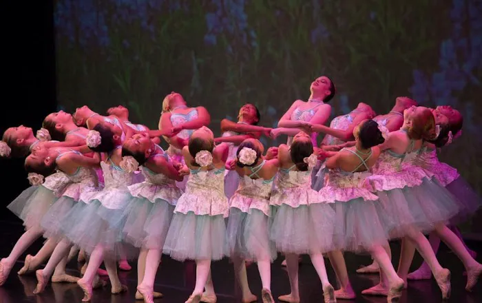 Rhythmic Arts Academy of Dance Picture 2