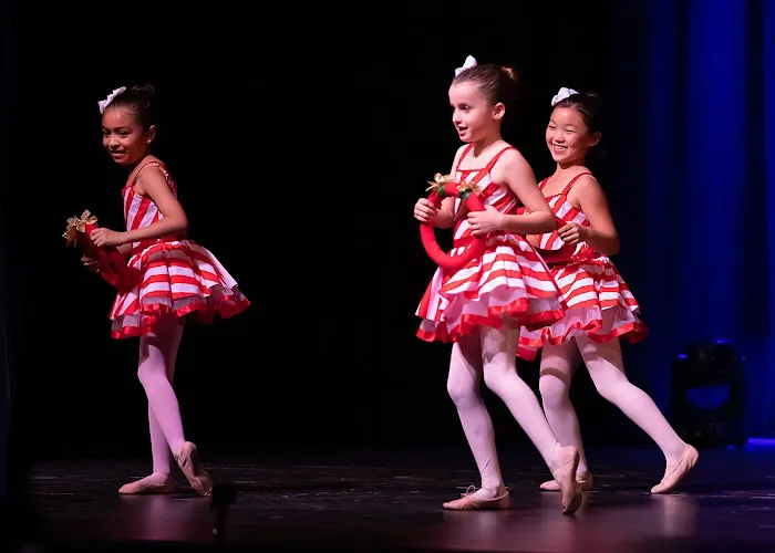 Christian Performing Arts Center Picture 2