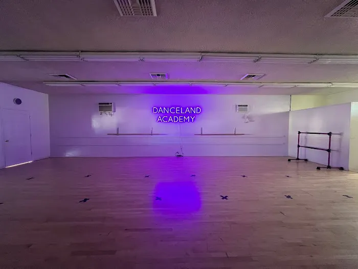 Danceland Academy Picture 5