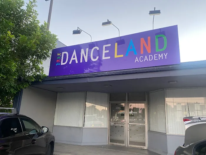 Danceland Academy Picture 4