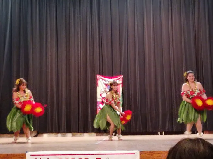 Aloha Hula Studio Picture 2