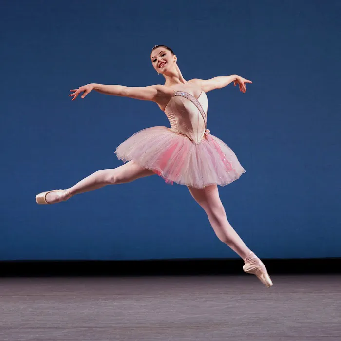 Avi's Dance Project Picture 1