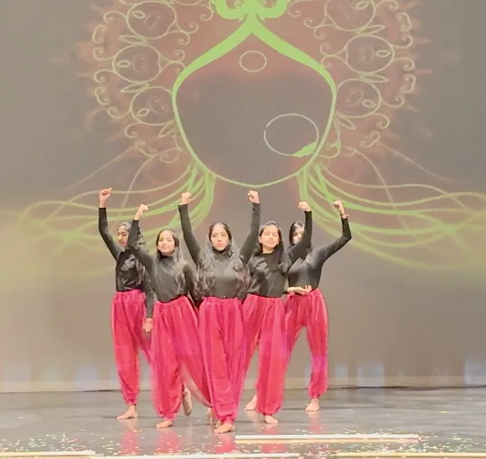 SBN Dance Academy Picture 5