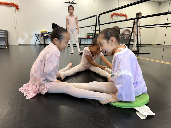 Aplomb Ballet Artistry Picture 6