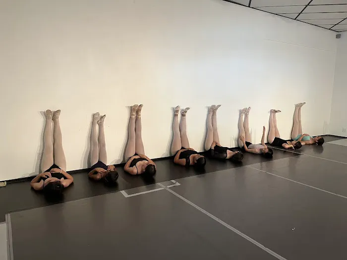 Aplomb Ballet Artistry Picture 4