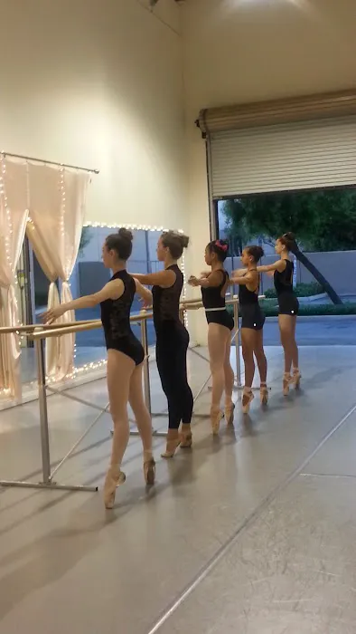 Zoetic Movement Picture 2