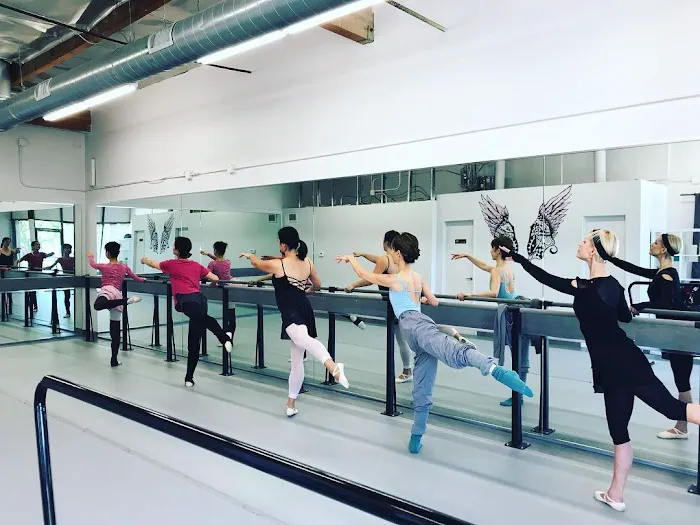 Dance Arts Of Orange County Picture 2