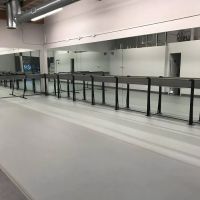 Dance Arts Of Orange County ico